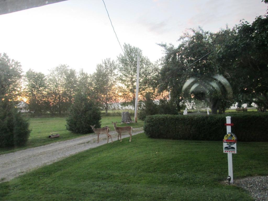 Gite Les Acres Tranquilles B&B Port-Daniel Kültér fotó