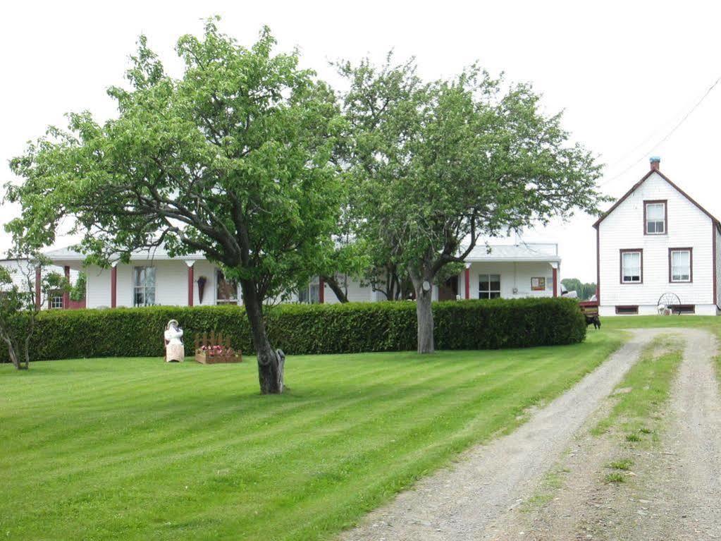 Gite Les Acres Tranquilles B&B Port-Daniel Kültér fotó